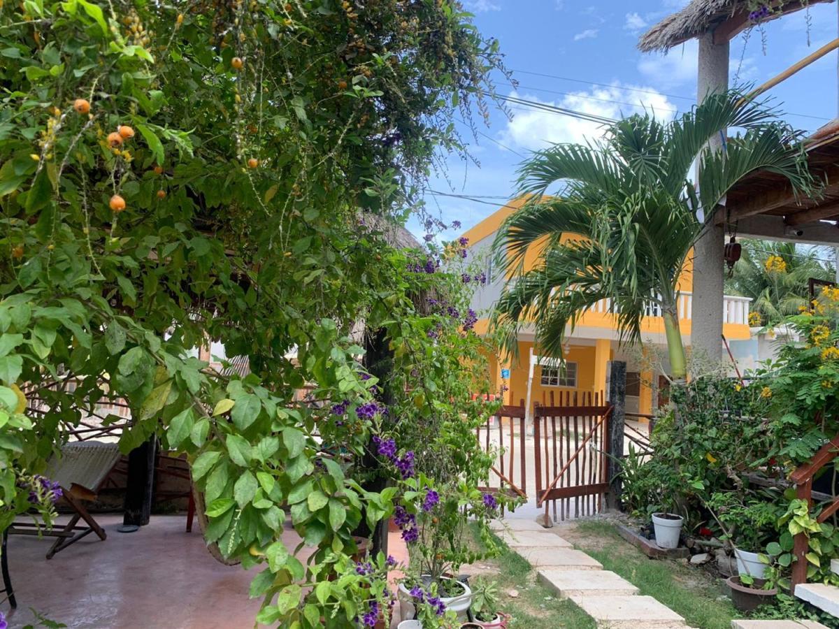 Don Panchon Y Maruxa Hotel Isla Holbox Ngoại thất bức ảnh